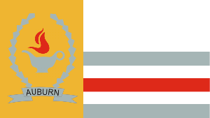  Auburn- A L-city-flag