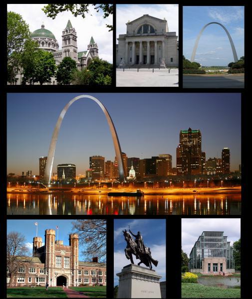  St. Louis wiki montage