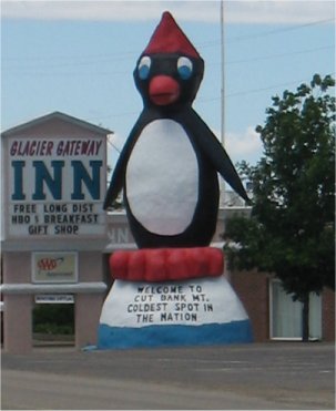  Giant penguin, Cut Bank, M T